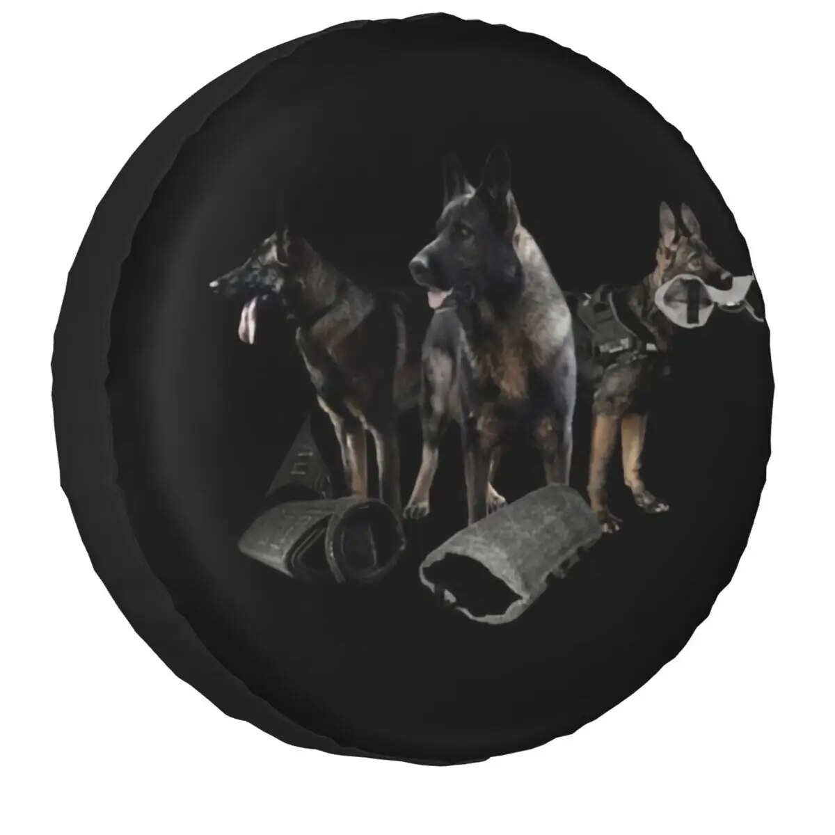  ۵   Ÿ̾ Ŀ ̽  Ŀġ ٶ ߵ Alsatians  Ŀ   14 15 16 17 ġ
